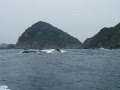 日振島14番~13番（2008.6.8　12：45）